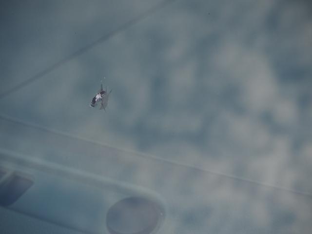 ムーヴコンテ G NAVI 禁煙 純正ナビ ワンセグTV リアカメラ スマートキー ETC オートエアコン フォグランプ アイドリングストップ ベンチシート(35枚目)