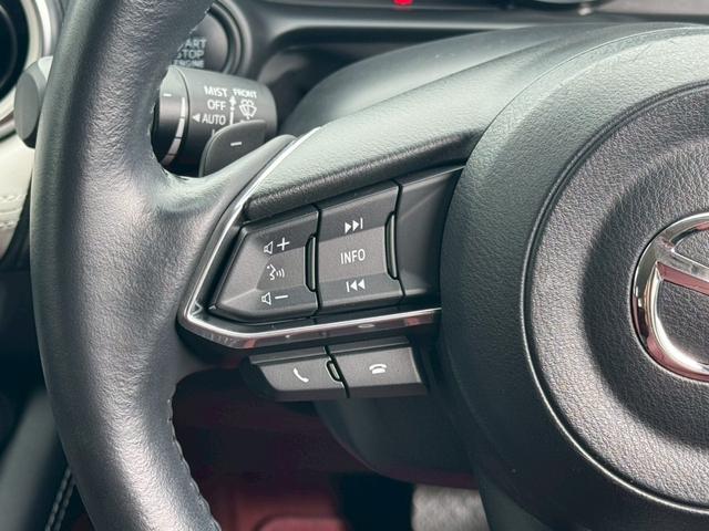 CX-3 15S 100周年特別記念車 禁煙 純正ナビ 赤革シート BOSEサウンド フルセグ 全周囲カメラ シートヒーター ステアリングヒーター アダプティブクルーズ パワーシート 衝突軽減ブレーキ BSM HUD ブレーキH 車検整備付(18枚目)