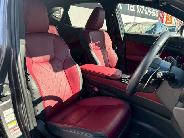 ＮＸ ＮＸ２５０　バージョンＬ　禁煙車　ムーンルーフ　デジタルインナーミラー　セーフティシステムプラス　純正ナビ　全方位　ＢＳＭ　３眼ＬＥＤ　全席シートヒーター　クライメイトコンシェルジュ　赤革シート　カーテシーランプ　車検整備付（34枚目）