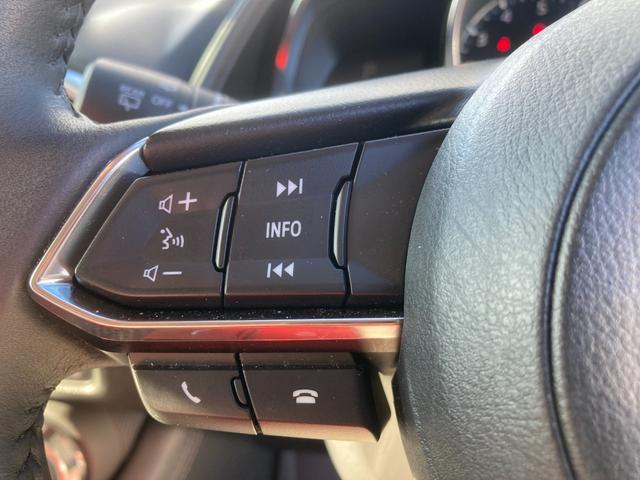 ＣＸ－３ １５Ｓ　アーバン　ドレッサー　ブラックグロッシーパッケージ　衝突被害軽減ブレーキ　追従クルコン　前後誤発進抑制機能　ブラインドスポットモニター　３６０°全周囲モニター　ホワイト合皮コンビシート　シートヒーター　ＬＥＤヘッドライト（27枚目）