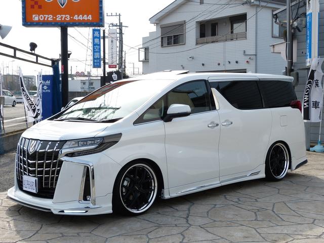 WALDコンプリート 21インチ BIG-X11 3眼 SR(3枚目)