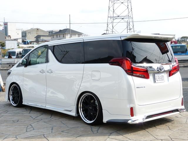 WALDコンプリート 21インチ BIG-X11 3眼 SR(7枚目)
