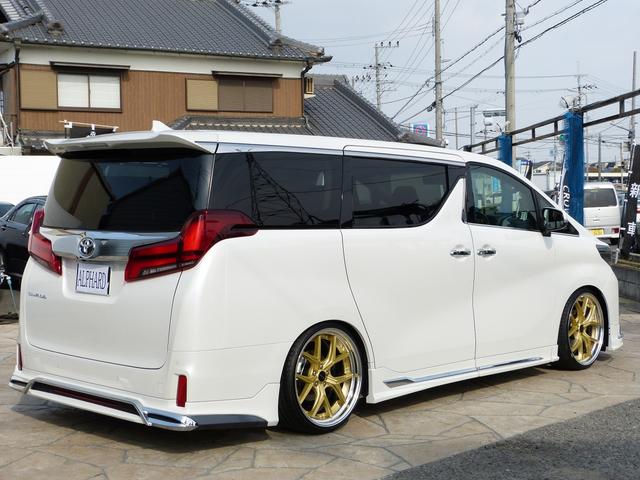 WALDコンプリート 21インチ BIG-X11 3眼 SR(8枚目)