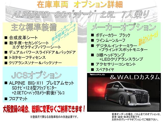 WALDコンプリート 21インチ BIG-X11 3眼 SR(9枚目)