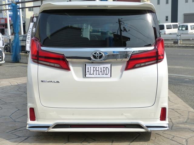 WALDコンプリート 21インチ BIG-X11 3眼 SR(11枚目)