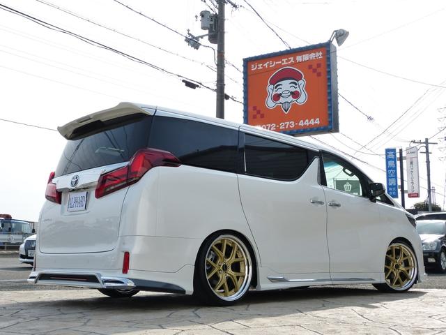 WALDコンプリート 21インチ BIG-X11 3眼 SR(17枚目)