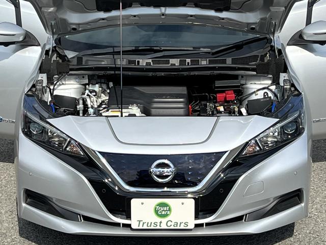 リーフ Ｘ　／ワンオーナー車／１２セグ／エマブレ／ＬＤＷ／ＤＡ／ＬＥＤヘッド／１７ＡＷ／ＣａｒＰｌａｙ／フルセグ／３６０°カメラ／プロパイロットＰ／デジタルインナーミラー／ドラレコ／ＥＴＣ／禁煙車（29枚目）