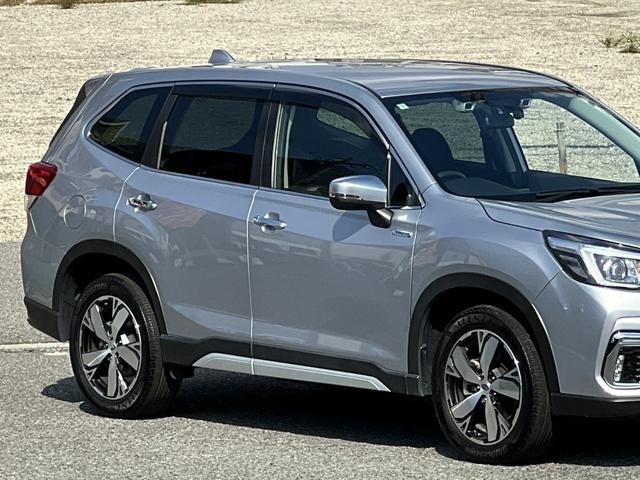 フォレスター アドバンス(8枚目)