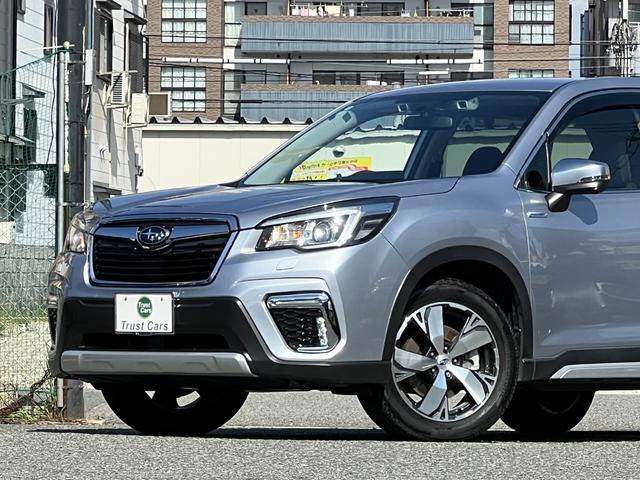 フォレスター アドバンス(14枚目)