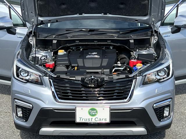 フォレスター アドバンス(28枚目)