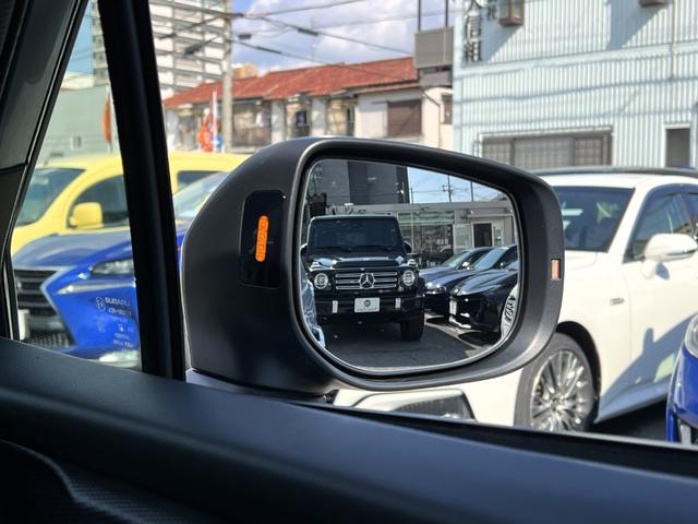 フォレスター アドバンス(43枚目)