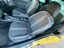 VOLKSWAGEN THE BEETLE