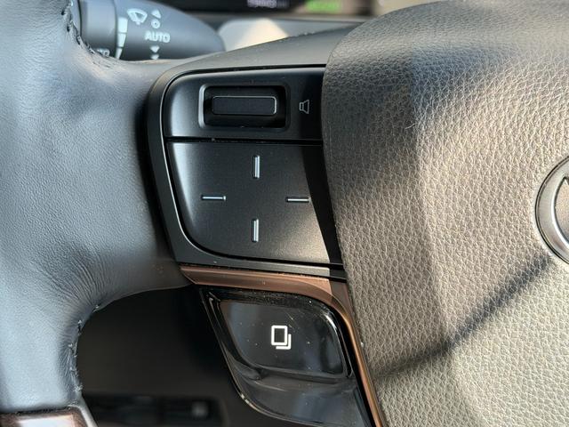 アルファードハイブリッド Ｚ　左右独立ムーンルーフ／１４型ディスプレイオーディオ／ナビ／フルセグＴＶ／パノラミックビューモニター／　両側電動スライドドア／デジタルインナーミラー／パワーバックドア／置き型充電／１９インチアルミ（29枚目）