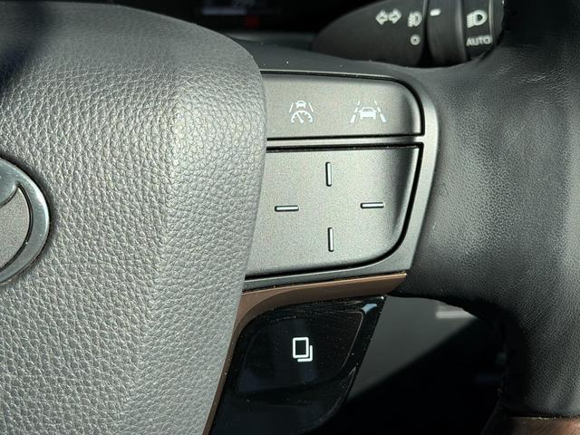 アルファードハイブリッド Ｚ　左右独立ムーンルーフ／１４型ディスプレイオーディオ／ナビ／フルセグＴＶ／パノラミックビューモニター／　両側電動スライドドア／デジタルインナーミラー／パワーバックドア／置き型充電／１９インチアルミ（30枚目）