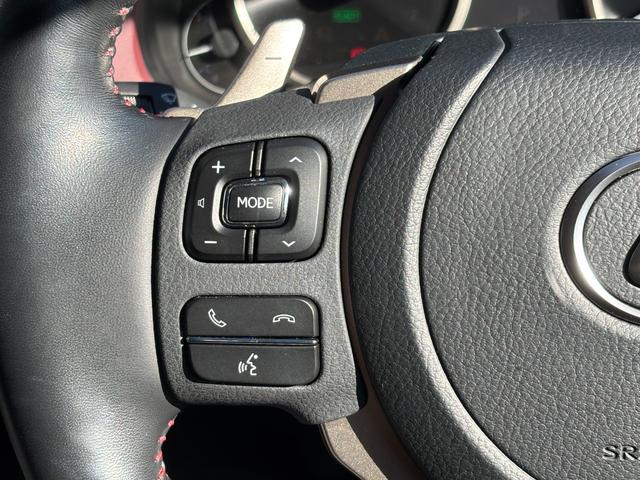 ＮＸ ＮＸ３００ｈ　スパイス＆シック　ワンオーナー／ユーザー買取車両／メーカーナビ／地デジＴＶ／バック＆サイドカメラ／エアシート＆シートヒーター／メモリー付パワーシート／パワーバックドア／ＥＴＣ２．０／３眼ヘッドライト／ＢＳＭ／（25枚目）