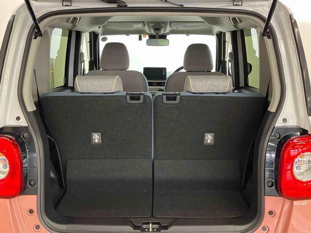 ���Ԃ����w�����Ă��炪�{���̂��t�������̎n�܂�ł���