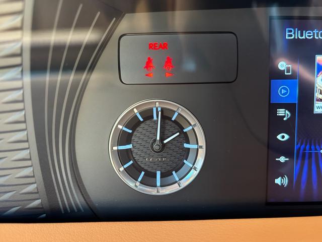 �����Ԃ̏؂ł���A�i���O���v