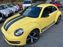 VOLKSWAGEN THE BEETLE