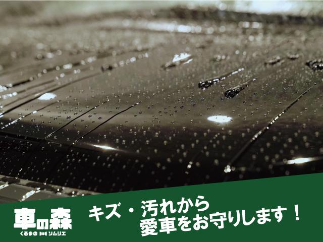 ハイウェイスター Vセレクション 8型ナビゲーション アラウンドビューモニター プロパイロット パーキングアシスト デジタルインナーミラー 電子パーキング オートブレーキホールド リヤオートエアコン 両側電動ハンズフリードア(55枚目)