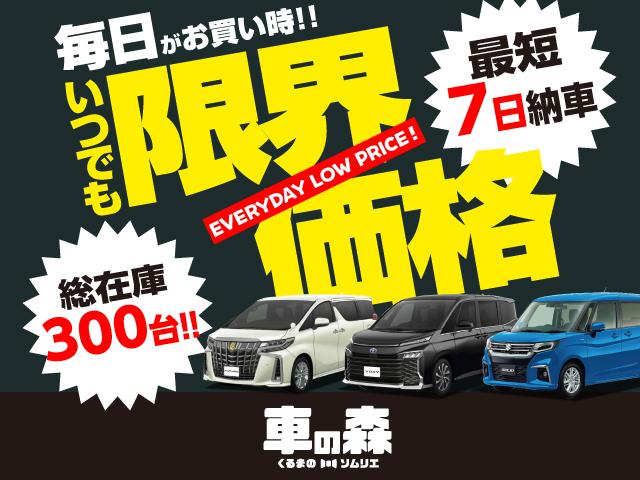 Ｇ　新車未登録車　１２．３型ナビ　ＥＴＣ２．０　クリアランスソナー　デジタルインナーミラー　ドライブレコーダー　レーダークルーズコントロール　衝突軽減　レーントレーシング　アダプティブハイビーム(2枚目)