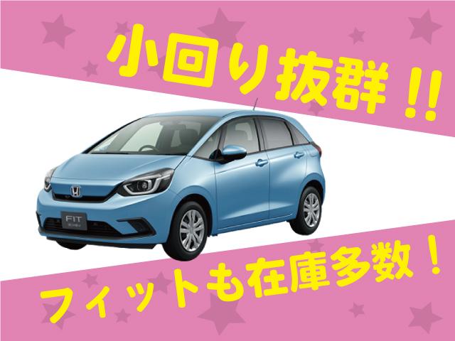 ハイブリッドＭＶ　登録済未使用車　デュアルカメラブレーキサポート　アイドリングストップ　オートエアコン　ＬＥＤライト　オートライト　誤発進抑制　カーテンエアバッグ　マイルドハイブリッド(61枚目)