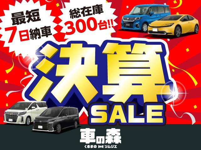 ステップワゴン スパーダ　マルチビュー　ブラインドスポットモニター　電動リヤゲート　シートヒーター　オットマン　ホンダセンシング　ＬＥＤライト　両側電動スライドドア　パーキングセンサー　三列目格納シート（2枚目）