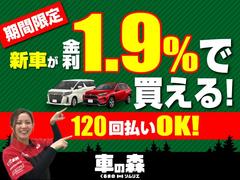 低金利キャンペーン１．９％から実施中！頭金は０円から、最長１２０回までのお支払い方法がご選択頂けます。お支払いシュミレーションもお気軽にご相談ください。また事前審査も最短１０分からご自宅で行えます★ 3