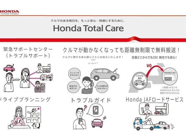 ベーシック　純正ナビフルセグＲカメラＥＴＣ(45枚目)