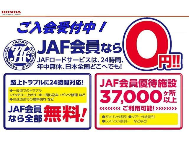 プレミアム・Ｌパッケージ　純正ディスプレイオーディオＲカメラＥＴＣ(45枚目)