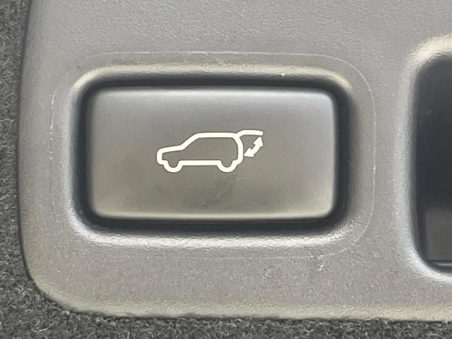 ハリアー プレミアム SDナビ 衝突被害軽減装置 禁煙車 パワーバックドア ハーフレザーシート パワーシート スマートキー LEDヘッド ETC クルコン オートマチックハイビーム 車線逸脱警報 オートライト(30枚目)