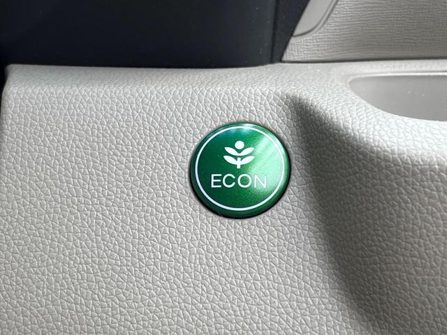 N-WGN G・Aパッケージ シティブレーキアクティブシステム 純正SDナビ バックカメラ スマートキー HIDヘッドライト オートライト アイドリングストップ ステアリングスイッチ 電動格納ミラー 横滑り防止装置(32枚目)