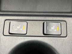 �ڥ����ȥҡ������۴������˽������륷���ȥҡ������������������᤯���ޤäƤ����ΤǴ�����οͤ�¿��Ǥ��͢���������β����ϴ��礹�뤫���ꡢ�Ȥ������ˤ�򤪤�����Ǥ��� 6