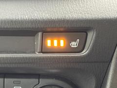 �ڥ����ȥҡ������۴������˽������륷���ȥҡ������������������᤯���ޤäƤ����ΤǴ�����οͤ�¿��Ǥ��͢���������β����ϴ��礹�뤫���ꡢ�Ȥ������ˤ�򤪤�����Ǥ��� 7