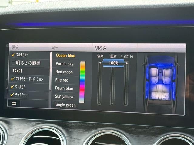 Ｅクラス Ｅ２００　アバンギャルド　スポーツ　／レザーエクスクルーシブＰＫＧ／ブルメスター／エアバランスＰＫＧ／全周囲カメラ／パワートランク／黒革／前席パワーシート・シートメモリー／全席シートヒーター／アンビエントライト／ＥＴＣ／純正１９ＡＷ（60枚目）