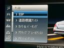 Ｅ２００　アバンギャルド　スポーツ　／サンルーフ／レザーエクスクルーシブＰＫＧ／ブルメスター／エアバランスＰＫＧ／全周囲カメラ／パワートランク／黒革／前席パワーシート・シートメモリー／全席シートヒーター／アンビエントライト／純正ＡＷ（53枚目）