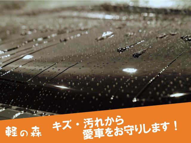 ベースグレード　軽自動車　届出済未使用車　衝突被害軽減ブレーキ　ＬＥＤヘッドライト　両側スライド片側電動ドア　アイドリングストップ　アダプティブクルーズコントロール　エアバッグ　ＡＢＳ　スマートキー　エアコン(54枚目)