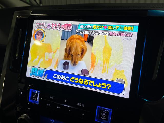 ヴェルファイア ２．５Ｚ　Ａエディション　ワンオーナー　衝突軽減ブレーキ　アダプティブクルーズコントロール　ＬＥＤヘッドライト　ナビゲーション　フルセグＴＶ　ＤＶＤ　ブルートゥースオーディオ　バックカメラ　ＥＴＣ　ドラレコ　スマートキー（46枚目）
