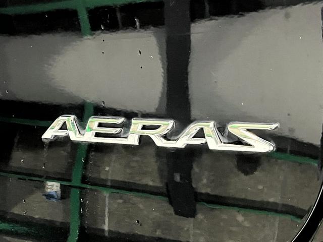 エスティマ ２．４アエラス　Ｇエディション　クルーズコントロール　両側パワースライドドア　後席シートオットマン　ナビゲーション　フルセグＴＶ　ブルートゥース　ＤＶＤ　バックカメラ　前後ドラレコ　ＥＴＣ　ＨＩＤ　プッシュスタート　スマートキー（33枚目）