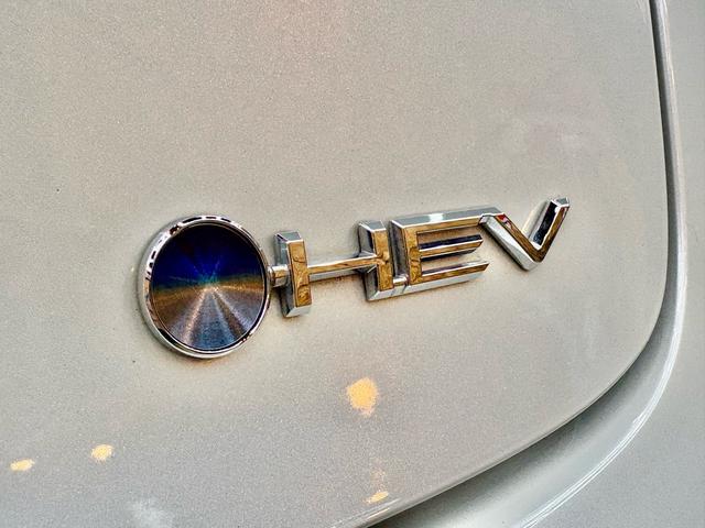 プリウス Ｚ　ガラスルーフ／レザーシート／ＣａｒＰｌａｙ／Ｂｌｕｅｔｏｏｔｈ／地デジ／シートヒーター＆ベンチレーション／ＥＴＣ２．０／ＴＳＳ／ＢＳＭ／パーキングアシスト／デジタルインナーミラー／パノラマミックビュー（21枚目）