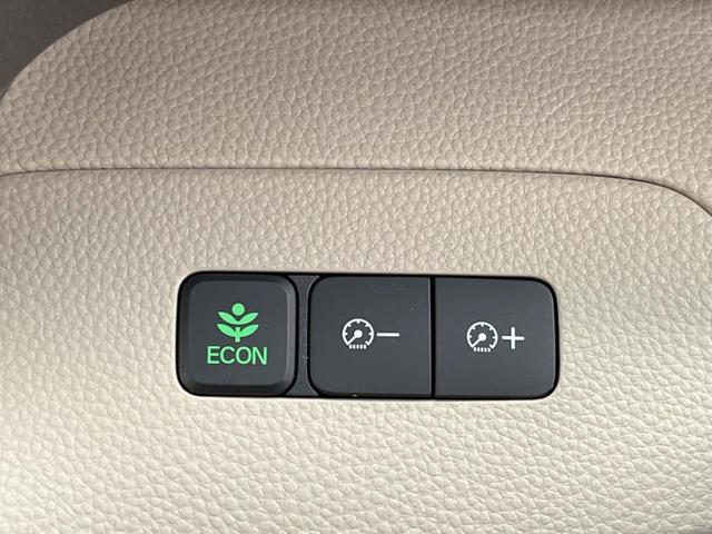 G・Lホンダセンシング SDナビ バックカメラ アダプティブクルーズコントロール パワースライドドア ETC オートエアコン LEDヘッド オートライト スマートキー プッシュスタート 禁煙車(31枚目)