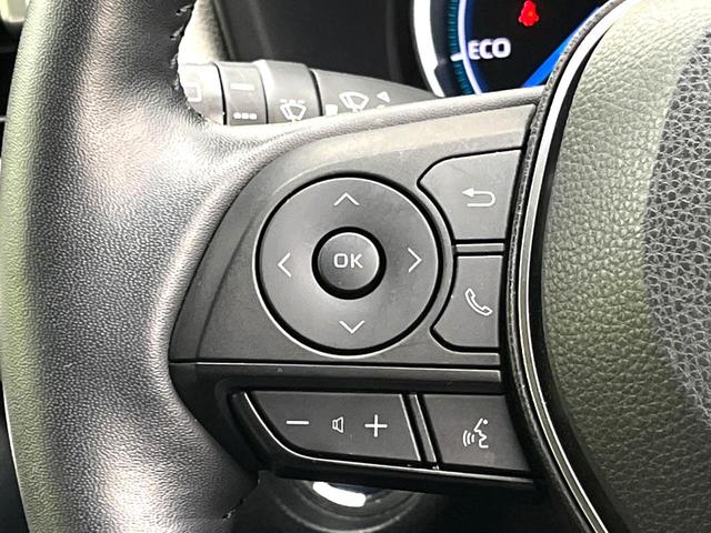 RAV4 ハイブリッドアドベンチャー 禁煙車 全周囲カメラ 9インチディスプレイ シートベンチレーション パワーバックドア セーフティセンス シートメモリー ブラインドスポット 4WD パワーシート ステアリングヒーター スマートキー(30枚目)