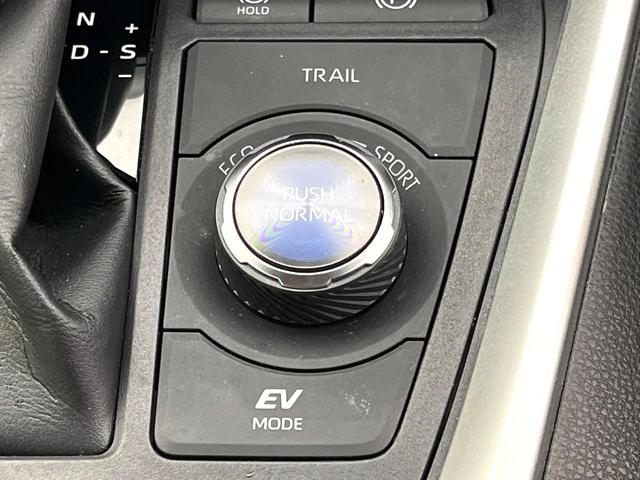 RAV4 ハイブリッドアドベンチャー 禁煙車 全周囲カメラ 9インチディスプレイ シートベンチレーション パワーバックドア セーフティセンス シートメモリー ブラインドスポット 4WD パワーシート ステアリングヒーター スマートキー(39枚目)