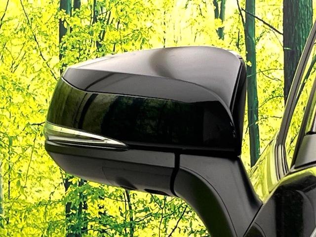 RAV4 ハイブリッドアドベンチャー 禁煙車 全周囲カメラ 9インチディスプレイ シートベンチレーション パワーバックドア セーフティセンス シートメモリー ブラインドスポット 4WD パワーシート ステアリングヒーター スマートキー(71枚目)