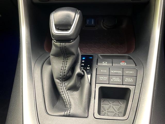RAV4 G 純正9型ナビ バックカメラ 禁煙車 ブラインドスポット セーフティセンス シートヒーター シートメモリー パワーシート ステアリングヒーター パワーバックドア コーナーセンサー ETC 4WD(39枚目)