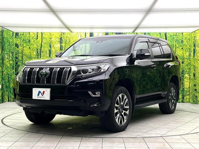 ランドクルーザープラド TX Lパッケージ 禁煙車 7人乗り 4WD 純正ナビ 全周囲カメラ パワーシート シートヒーター ウッドコンビステアリング LEDヘッドライト 純正19インチアルミ 黒革シート クルーズコントロール ETC(44枚目)