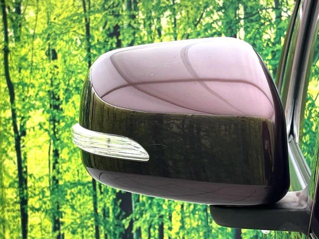 ミラココア ココアプラスＸ　禁煙車　フルセグナビ　バックカメラ　ルーフレール　オートエアコン　キーレス　電動格納ミラー　純正１４インチホイール　プライバシーガラス　パワーウィンドウ　フロアマット　ドアバイザー（34枚目）