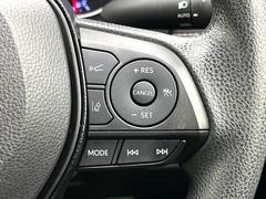 �ڥ졼�������롼������ȥ�����۹�®ƻϩ�Ǥ�Ĺ��Υ���Ԥ��ڤˡ�����ư��®�٤��ݤĥ��롼������ȥ����뤬�����ͷڸ������ƥ��Ϣ�Ȥ��������μ�ξ���Τ��Ƽִ֤��ݤĤ褦��®��Ĵ�ᤷ�Ƥ���ޤ����� 6