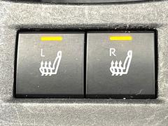 �ڥ����ȥҡ������۴������˽������륷���ȥҡ������������������᤯���ޤäƤ����ΤǴ�����οͤ�¿��Ǥ��͢���������β����ϴ��礹�뤫���ꡢ�Ȥ������ˤ�򤪤�����Ǥ��� 6