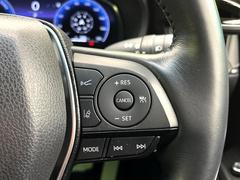 �ڥ졼�������롼������ȥ�����۹�®ƻϩ�Ǥ�Ĺ��Υ���Ԥ��ڤˡ�����ư��®�٤��ݤĥ��롼������ȥ����뤬�����ͷڸ������ƥ��Ϣ�Ȥ��������μ�ξ���Τ��Ƽִ֤��ݤĤ褦��®��Ĵ�ᤷ�Ƥ���ޤ����� 6