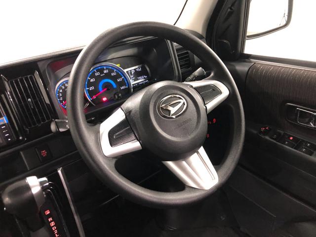 ���[����܂��A���}���̕��������k���������i�O�O�j�^